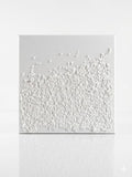 “The White Candies”