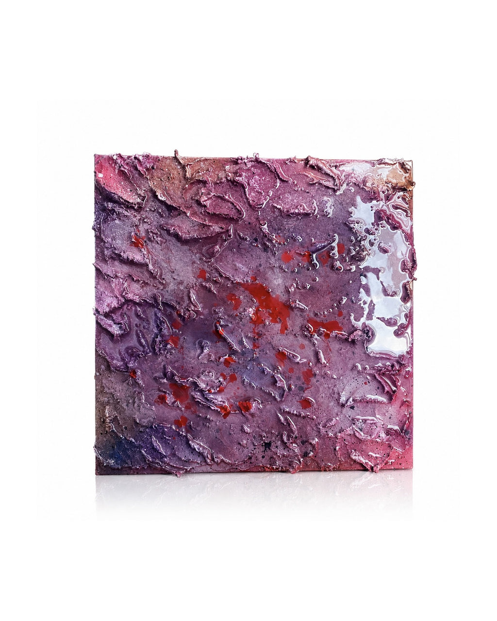 “VELVET BLOOM”