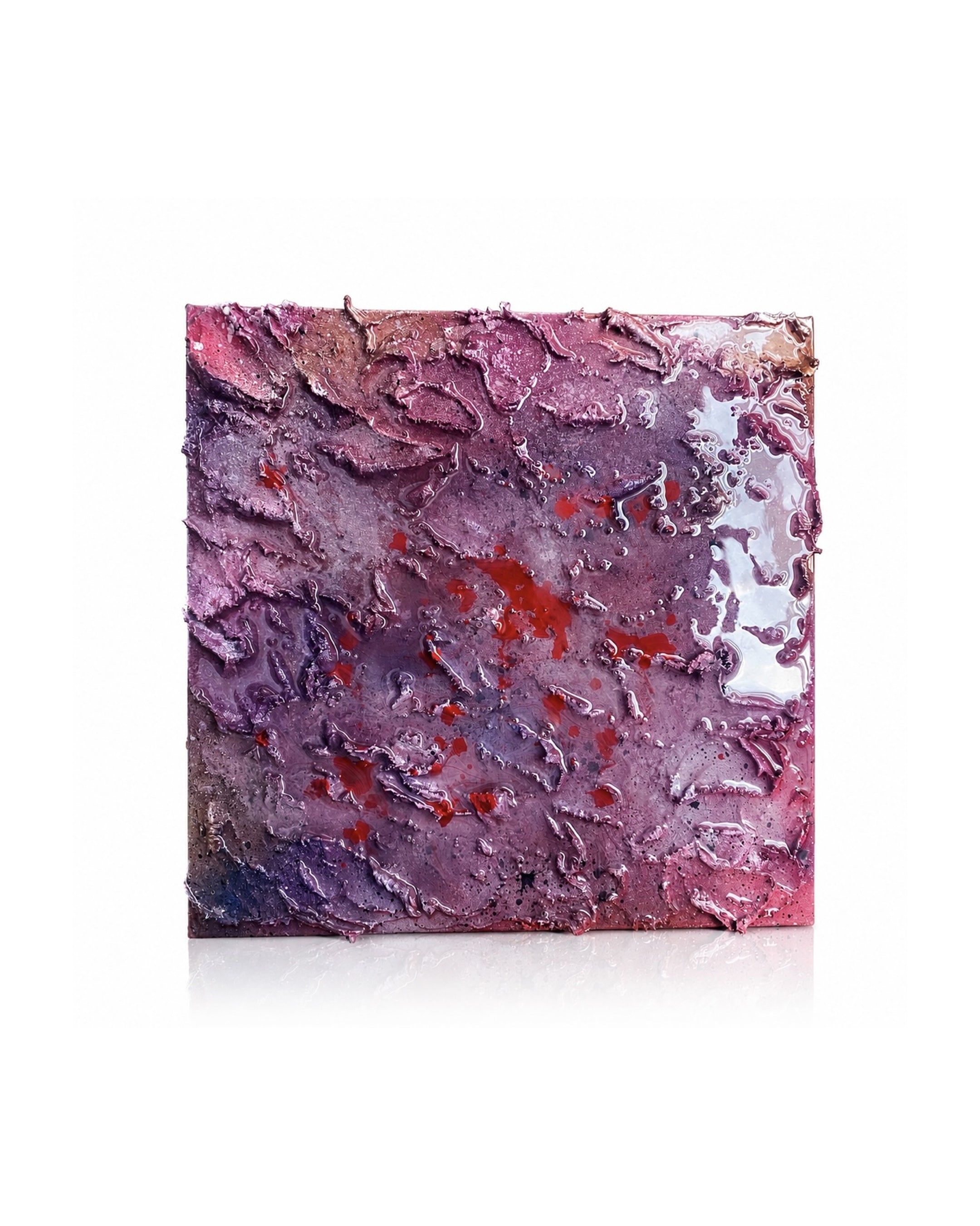 “VELVET BLOOM”