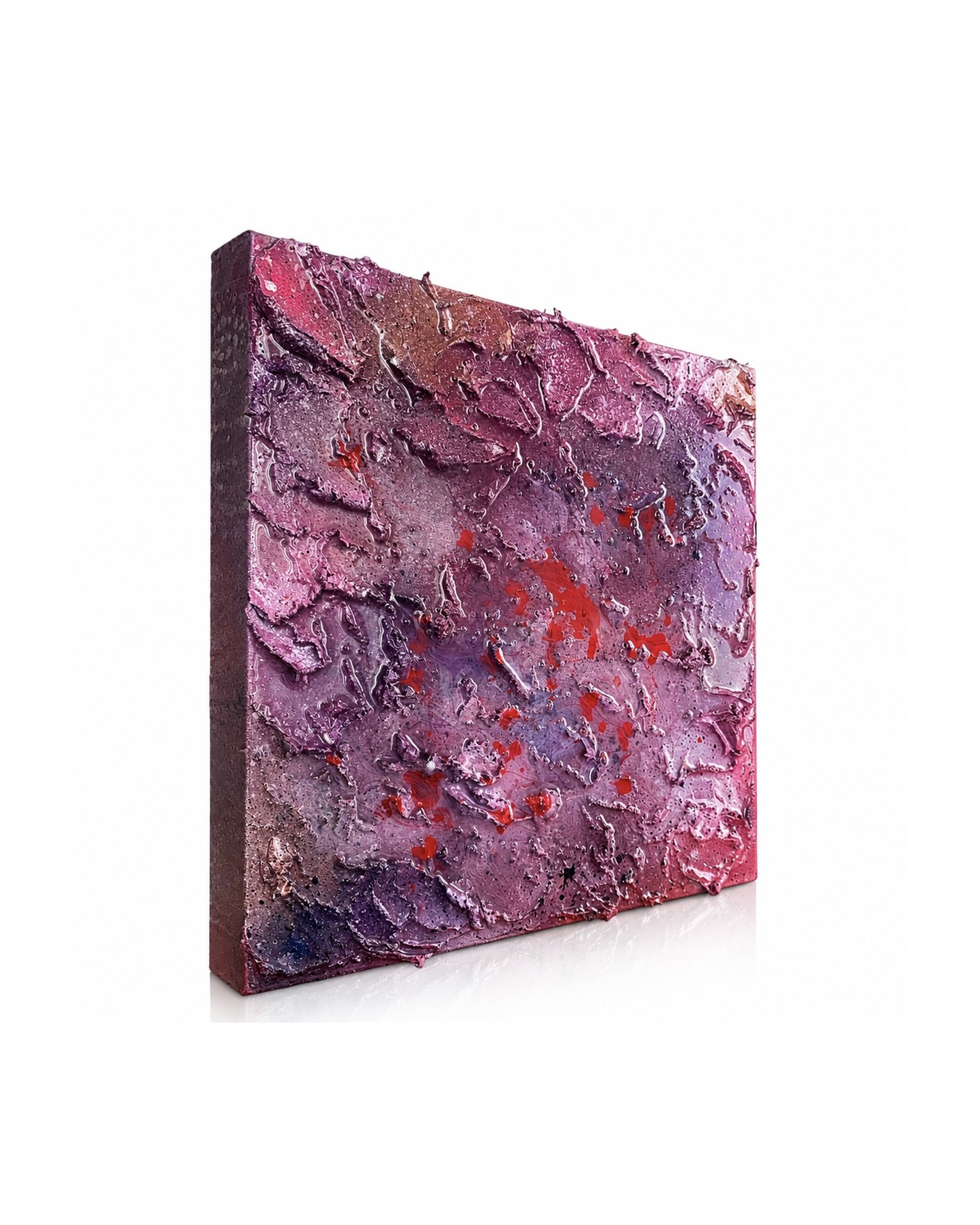 “VELVET BLOOM”